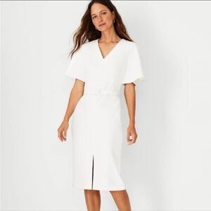Ann Taylor Women's Flutter Sleeve Belted Dress